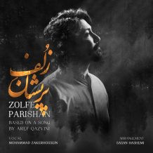 دانلود آهنگ جدید محمد ذاکرحسین به نام زلف پریشان